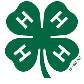 Hempstead 4H